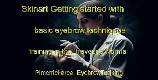 Skinart Getting started with basic eyebrow techniques training in the Travessa Norma Pimentel area | EyebrowTraining | EyebrowClasses | SkinartTraining-Brazil