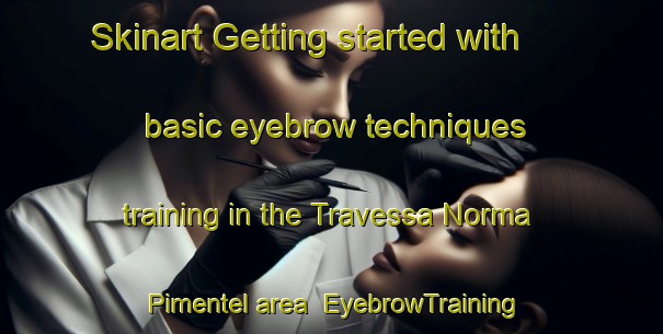 Skinart Getting started with basic eyebrow techniques training in the Travessa Norma Pimentel area | EyebrowTraining | EyebrowClasses | SkinartTraining-Brazil