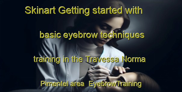 Skinart Getting started with basic eyebrow techniques training in the Travessa Norma Pimentel area | EyebrowTraining | EyebrowClasses | SkinartTraining-Brazil