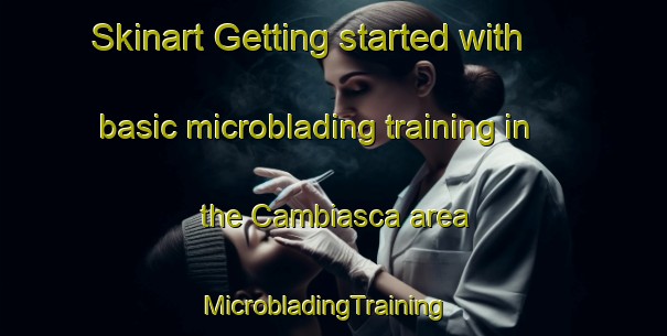 Skinart Getting started with basic microblading training in the Cambiasca area | MicrobladingTraining | MicrobladingClasses | SkinartTraining-Brazil