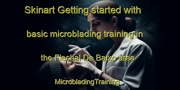 Skinart Getting started with basic microblading training in the Flechal De Baixo area | MicrobladingTraining | MicrobladingClasses | SkinartTraining-Brazil