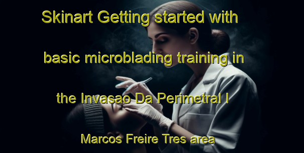Skinart Getting started with basic microblading training in the Invasao Da Perimetral I   Marcos Freire Tres area | MicrobladingTraining | MicrobladingClasses | SkinartTraining-Brazil