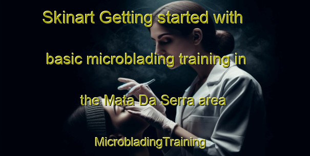 Skinart Getting started with basic microblading training in the Mata Da Serra area | MicrobladingTraining | MicrobladingClasses | SkinartTraining-Brazil