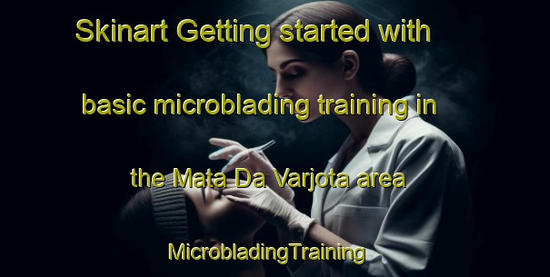 Skinart Getting started with basic microblading training in the Mata Da Varjota area | MicrobladingTraining | MicrobladingClasses | SkinartTraining-Brazil