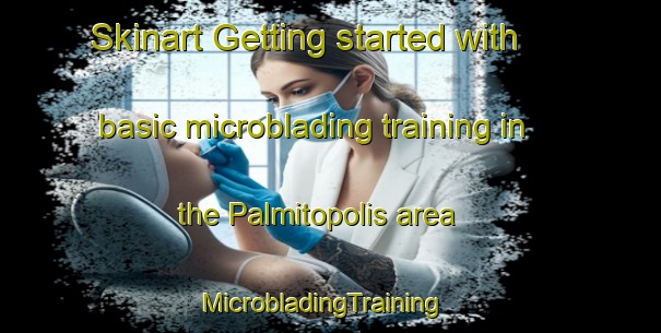 Skinart Getting started with basic microblading training in the Palmitopolis area | MicrobladingTraining | MicrobladingClasses | SkinartTraining-Brazil
