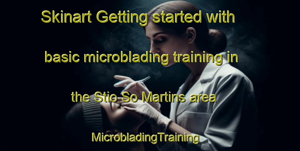 Skinart Getting started with basic microblading training in the Stio So Martins area | MicrobladingTraining | MicrobladingClasses | SkinartTraining-Brazil