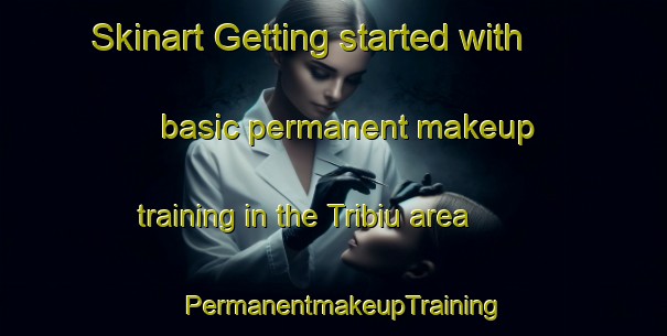 Skinart Getting started with basic permanent makeup training in the Tribiu area | PermanentmakeupTraining | PermanentmakeupClasses | SkinartTraining-Brazil