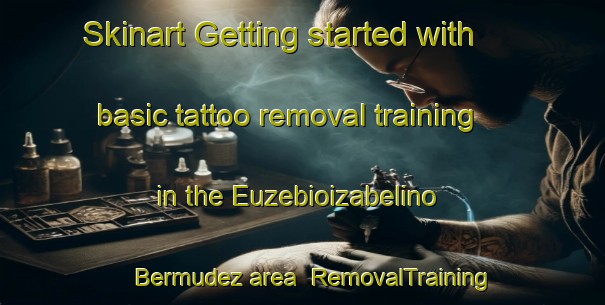 Skinart Getting started with basic tattoo removal training in the Euzebioizabelino Bermudez area | RemovalTraining | RemovalClasses | SkinartTraining-Brazil
