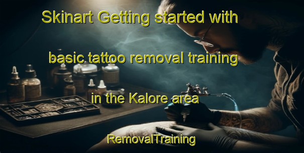 Skinart Getting started with basic tattoo removal training in the Kalore area | RemovalTraining | RemovalClasses | SkinartTraining-Brazil