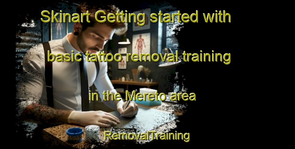 Skinart Getting started with basic tattoo removal training in the Mereto area | RemovalTraining | RemovalClasses | SkinartTraining-Brazil