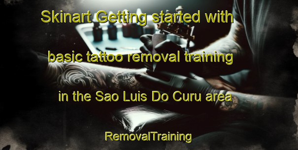 Skinart Getting started with basic tattoo removal training in the Sao Luis Do Curu area | RemovalTraining | RemovalClasses | SkinartTraining-Brazil