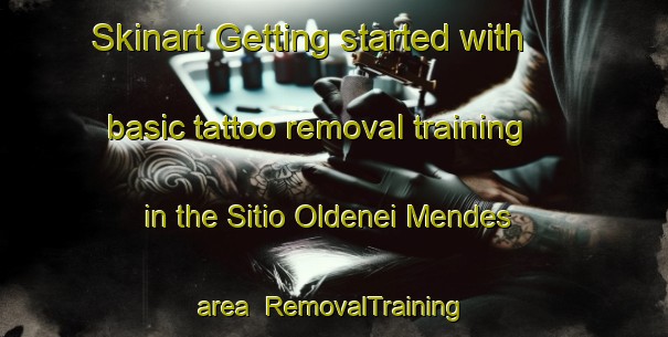 Skinart Getting started with basic tattoo removal training in the Sitio Oldenei Mendes area | RemovalTraining | RemovalClasses | SkinartTraining-Brazil