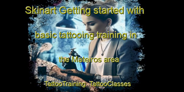 Skinart Getting started with basic tattooing training in the Mateiros area | TattooTraining | TattooClasses | SkinartTraining-Brazil
