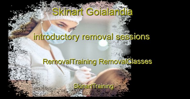 Skinart Goialandia introductory removal sessions | #RemovalTraining #RemovalClasses #SkinartTraining-Brazil