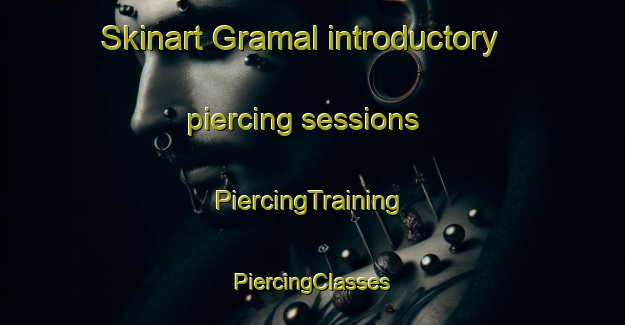 Skinart Gramal introductory piercing sessions | #PiercingTraining #PiercingClasses #SkinartTraining-Brazil