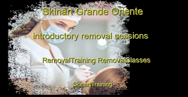 Skinart Grande Oriente introductory removal sessions | #RemovalTraining #RemovalClasses #SkinartTraining-Brazil