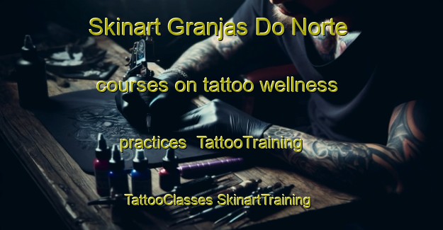 Skinart Granjas Do Norte courses on tattoo wellness practices | #TattooTraining #TattooClasses #SkinartTraining-Brazil