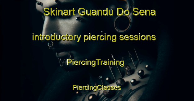 Skinart Guandu Do Sena introductory piercing sessions | #PiercingTraining #PiercingClasses #SkinartTraining-Brazil