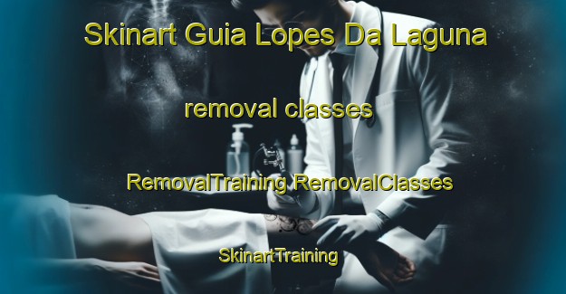 Skinart Guia Lopes Da Laguna removal classes | #RemovalTraining #RemovalClasses #SkinartTraining-Brazil