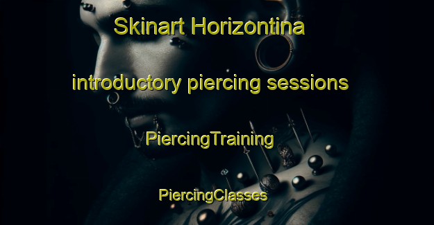 Skinart Horizontina introductory piercing sessions | PiercingTraining | PiercingClasses | SkinartTraining-Brazil