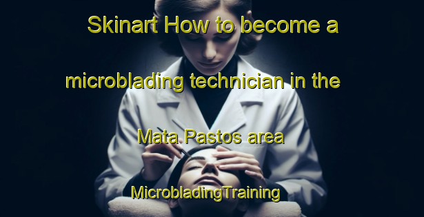 Skinart How to become a microblading technician in the Mata Pastos area | MicrobladingTraining | MicrobladingClasses | SkinartTraining-Brazil