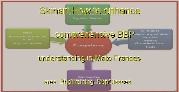 Skinart How to enhance comprehensive BBP understanding in Mato Frances area | BbpTraining | BbpClasses | SkinartTraining-Brazil