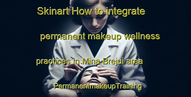 Skinart How to integrate permanent makeup wellness practices in Mina Brejui area | PermanentmakeupTraining | PermanentmakeupClasses | SkinartTraining-Brazil