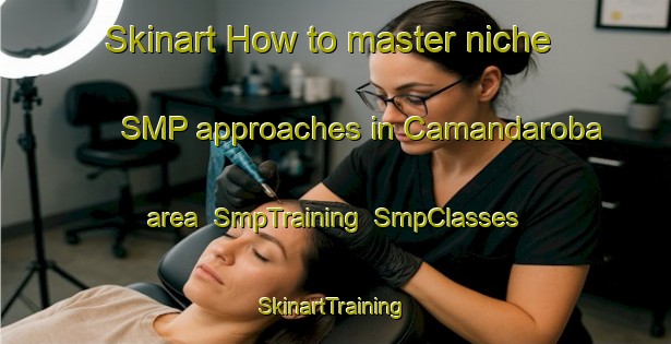 Skinart How to master niche SMP approaches in Camandaroba area | SmpTraining | SmpClasses | SkinartTraining-Brazil