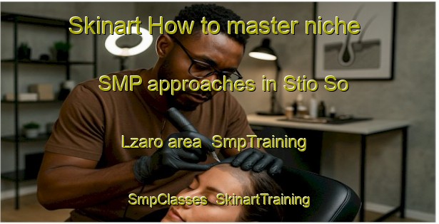 Skinart How to master niche SMP approaches in Stio So Lzaro area | SmpTraining | SmpClasses | SkinartTraining-Brazil