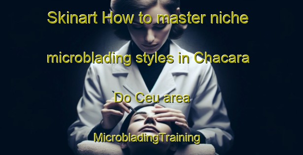 Skinart How to master niche microblading styles in Chacara Do Ceu area | MicrobladingTraining | MicrobladingClasses | SkinartTraining-Brazil