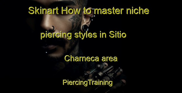 Skinart How to master niche piercing styles in Sitio Charneca area | PiercingTraining | PiercingClasses | SkinartTraining-Brazil