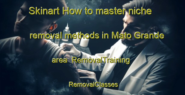 Skinart How to master niche removal methods in Mato Grande area | RemovalTraining | RemovalClasses | SkinartTraining-Brazil