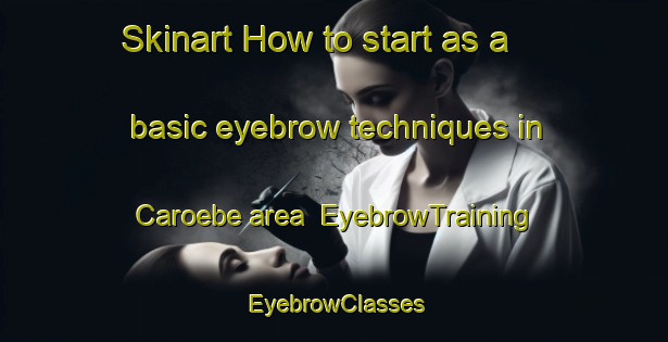 Skinart How to start as a basic eyebrow techniques in Caroebe area | EyebrowTraining | EyebrowClasses | SkinartTraining-Brazil