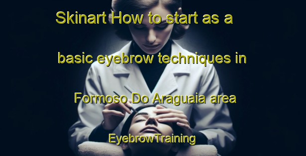 Skinart How to start as a basic eyebrow techniques in Formoso Do Araguaia area | EyebrowTraining | EyebrowClasses | SkinartTraining-Brazil