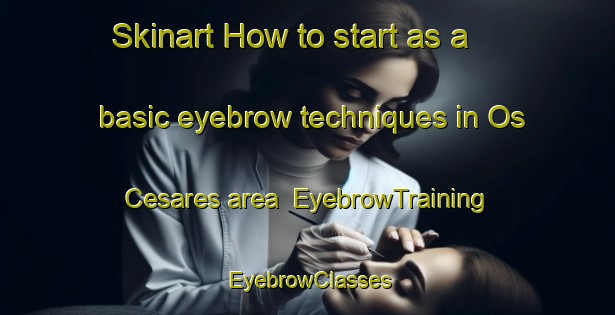Skinart How to start as a basic eyebrow techniques in Os Cesares area | EyebrowTraining | EyebrowClasses | SkinartTraining-Brazil