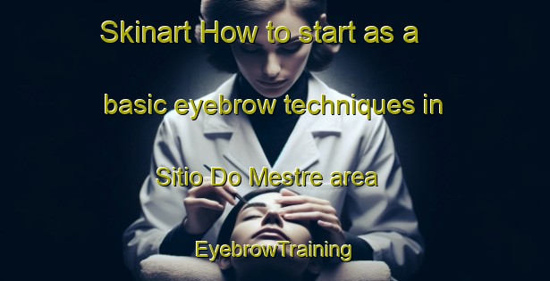 Skinart How to start as a basic eyebrow techniques in Sitio Do Mestre area | EyebrowTraining | EyebrowClasses | SkinartTraining-Brazil