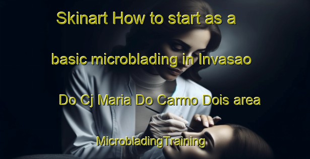 Skinart How to start as a basic microblading in Invasao Do Cj Maria Do Carmo Dois area | MicrobladingTraining | MicrobladingClasses | SkinartTraining-Brazil