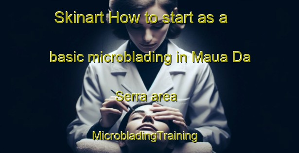 Skinart How to start as a basic microblading in Maua Da Serra area | MicrobladingTraining | MicrobladingClasses | SkinartTraining-Brazil