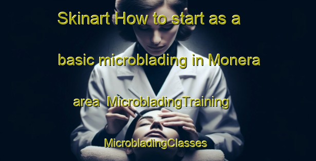 Skinart How to start as a basic microblading in Monera area | MicrobladingTraining | MicrobladingClasses | SkinartTraining-Brazil