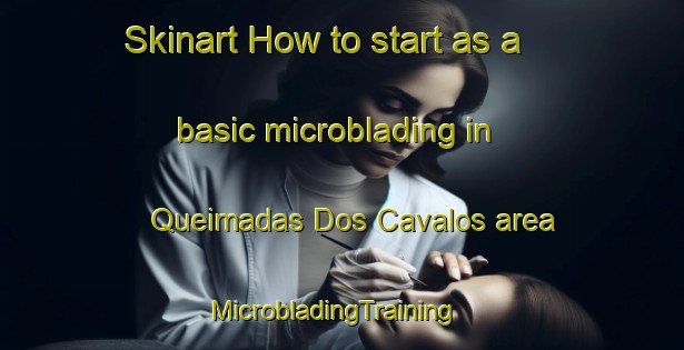Skinart How to start as a basic microblading in Queimadas Dos Cavalos area | MicrobladingTraining | MicrobladingClasses | SkinartTraining-Brazil