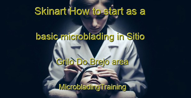 Skinart How to start as a basic microblading in Sitio Grilo Do Brejo area | MicrobladingTraining | MicrobladingClasses | SkinartTraining-Brazil