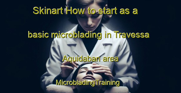 Skinart How to start as a basic microblading in Travessa Aquidaban area | MicrobladingTraining | MicrobladingClasses | SkinartTraining-Brazil