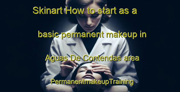 Skinart How to start as a basic permanent makeup in Aguas De Contendas area | PermanentmakeupTraining | PermanentmakeupClasses | SkinartTraining-Brazil