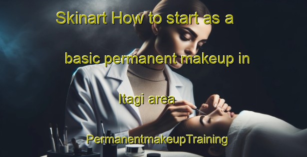 Skinart How to start as a basic permanent makeup in Itagi area | PermanentmakeupTraining | PermanentmakeupClasses | SkinartTraining-Brazil