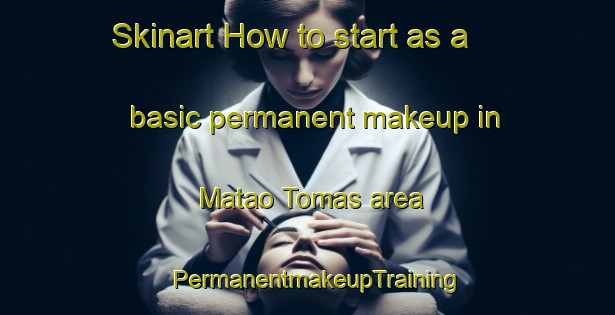 Skinart How to start as a basic permanent makeup in Matao Tomas area | PermanentmakeupTraining | PermanentmakeupClasses | SkinartTraining-Brazil