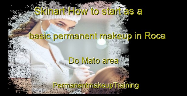 Skinart How to start as a basic permanent makeup in Roca Do Mato area | PermanentmakeupTraining | PermanentmakeupClasses | SkinartTraining-Brazil