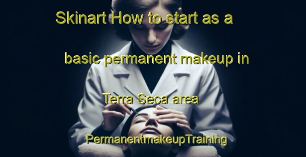 Skinart How to start as a basic permanent makeup in Terra Seca area | PermanentmakeupTraining | PermanentmakeupClasses | SkinartTraining-Brazil