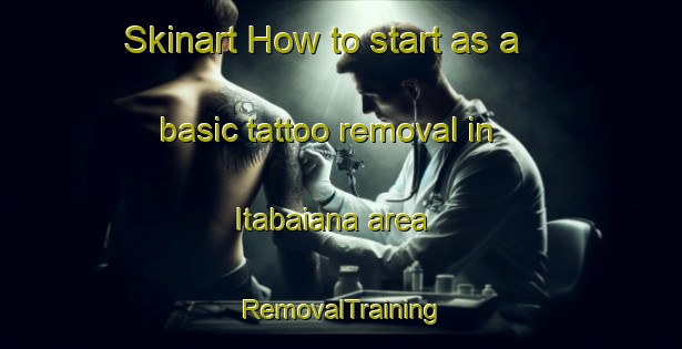 Skinart How to start as a basic tattoo removal in Itabaiana area | RemovalTraining | RemovalClasses | SkinartTraining-Brazil