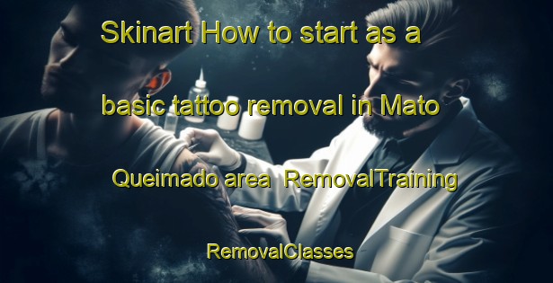 Skinart How to start as a basic tattoo removal in Mato Queimado area | RemovalTraining | RemovalClasses | SkinartTraining-Brazil