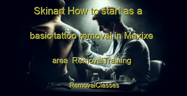 Skinart How to start as a basic tattoo removal in Maxixe area | RemovalTraining | RemovalClasses | SkinartTraining-Brazil